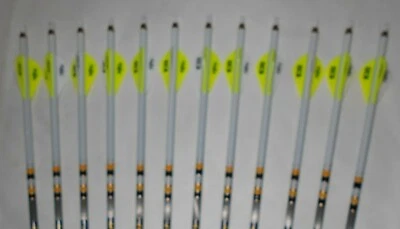 12 Gold Tip Hunter Pro 340 Carbon Arrows! Custom White Dip Crest/Blazer Vanes - Image 1 of 2