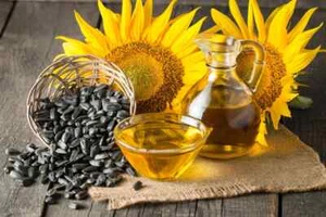 2024 Black Oil Sunflower Seeds | 25 count planting Garden Flowers chicken bird - Picture 1 of 8