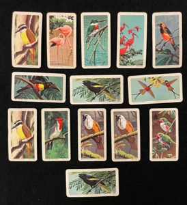 Lot Of 14 - 1964 Red Rose Tea Cards - Tropical Birds - Picture 1 of 2