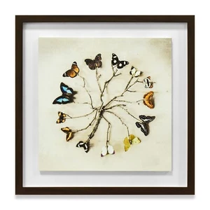 Ian Winstanley Official Wall Art - Framed Wood Plaques - 3 designs available - Picture 1 of 6