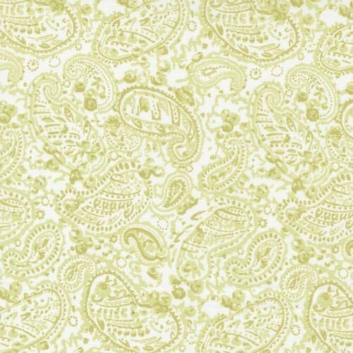 The Shores de Brenda Riddle para Moda - Sprout Paisley #18742-25 Foto 1 de 1