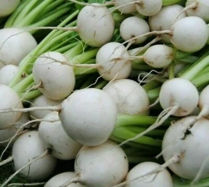 WHITE EGG TURNIP SEEDS 1000+ VEGETABLE garden SOUP stews STIR FRY FREE SHIPPING - Picture 1 of 1