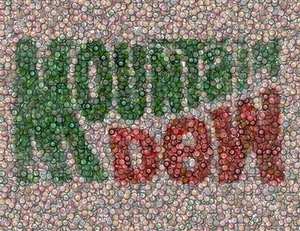 Amazing Mountain Dew Bottlecap mosaic print COOOL - Picture 1 of 2