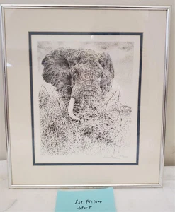 Impresión de cabeza de elefante William Baker firmada y enmarcada edición limitada obra de arte de naturaleza - Imagen 1 de 5