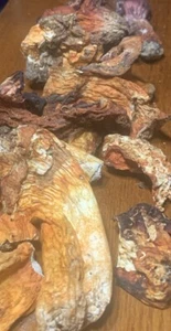 6 oz Dried Humboldt Ca Lobster Mushroom Wool Dyeing Water Color Etc. Coming Soon - Picture 1 of 16