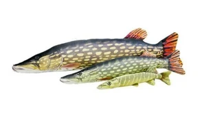 Coussin A en Forme De Poisson Brochet Réaliste Idée Cadeau Pêche Pêcheur - Photo 1/4