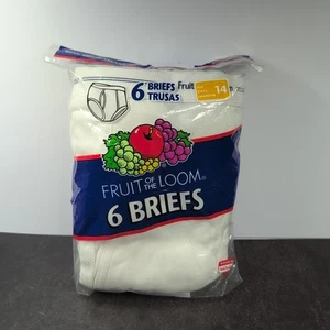 Vintage Boys Fruit Of The Loom Briefs Size 14 Six Pack NOS Tighty Whities 2002 - Picture 1 of 17