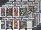 WILLS-FULL SET- WILD FLOWERS 1923 (50 CARDS) EXCELLENT