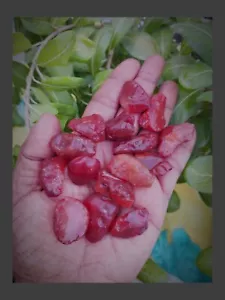 Vibrant Carnelian Raw Stones -Perfect for Jewelry Making & Collecting - 5pcs Lot - Picture 1 of 7