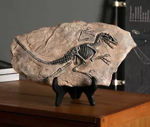 Harz Dinosaurier Fossil Modell Dekoartikel für Dino-Fans Kunst Tier Statue Vogel - Bild 1 von 19
