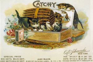 CATCHY COLORADO CIGARS BOX MATCH CAT KITTENS LABEL VINTAGE POSTER REPRO - Picture 1 of 3