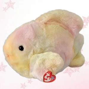 ❤️ CORAL ❤️ 2000 TY Beanie BUDDY Fish - MWMT'S - Imagen 1 de 5