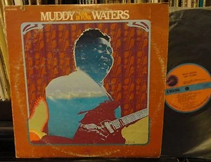MUDDY WATERS "Unk" In Funk Chess CH 60031 plays EX - Picture 1 of 1