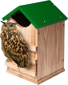 Screech Owl House with Bird Stand Design, Wood Owl Nesting Box with Mounting Scr - Picture 1 of 12