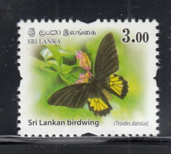 SRI LANKA Sri Lankan Birdwing MNH stamp - Image 1 of 1