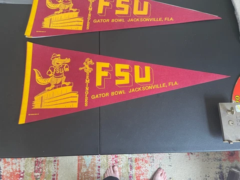 VINTAGE 1967 Florida State University Seminoles Football Pennant FSU RARE Cover