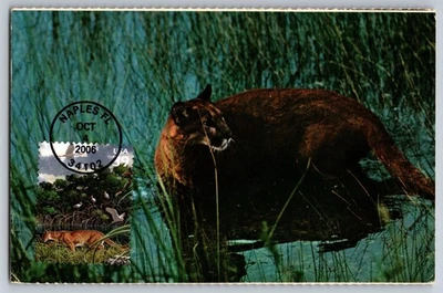 #4099c Southern Florida Wetland Florida Panther FDC Maxi Card w/Pictorial Cancel - Image 1 of 2