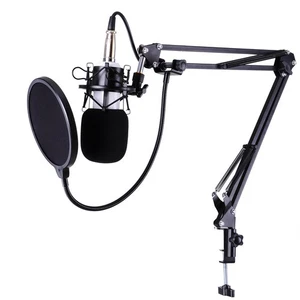 Condenser Microphone Kit Studio Recording Pro Filter Boom Arm Stand Shock Mount - Picture 1 of 9