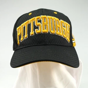 City Hunter PITTSBURGH black 3D Embroidered Team Hat/Cap Pirates steelers OSFA - Picture 1 of 13