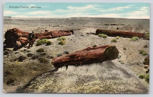 Petrified Forest Petrified Wood Landscape Arizona Postcard - Picture 1 of 2