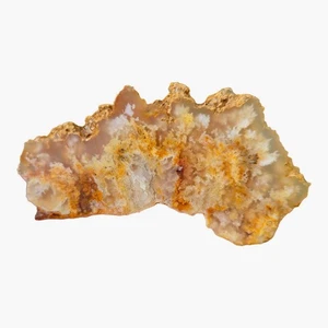 Regency Rose Plume Agate Slab - White Wispy - Graveyard Oregon - Picture 1 of 5