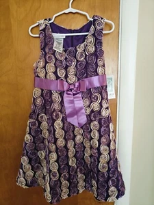 Bonnie Jean Fancy Satiny Pretty Shiny Purple Raised Flowers Girl's Size 4T Dress - Picture 1 of 10