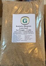 Kentucky Bluegrass Grass Seed - 6 lbs - Buy from the Farmer - Beautiful Lawn!