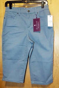 Gloria Vanderbilt Womens Amanda Skimmer Length Gray Size 4P Classic Rise Stretch - Picture 1 of 7