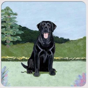 Black Labrador Coasters - Set of 4 - Picture 1 of 1