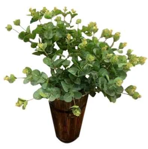4x Artificial Gum Leaf Leaves Fake Plant Bush Foliage Home Restaurant Déco - Bild 1 von 2