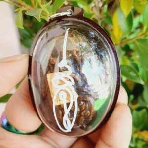 Amulet Thai Magic Placenta Occult Cats Talisman Wealth Pendant Fortune Lucky - Picture 1 of 3