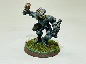 Warhammer 40k Astra Militarum Metal Professionally Painted Soldier Human - Picture 1 of 3