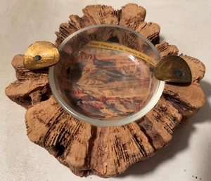 Vintage handgefertigter Cholla Kaktus Kurios Grand Canyon Aschenbecher Arizona Steuer Münzen sehr guter Zustand - Bild 1 von 8