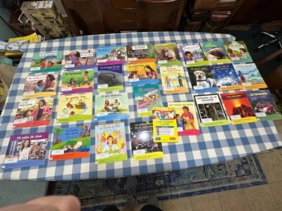 Fountas & Pinnell 28 SPANISH Leveled Readers A-N Benchmark Assessment System K-2 - Image 1 of 4