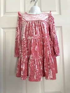 Cat & jack Girls Pink Velour crushed Velvet Prarie Dress Size 4T - Foto 1 di 3
