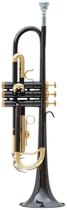 Roy Benson TR-101 K in B Trompete anthrazit lackiert - Bild 1 von 6