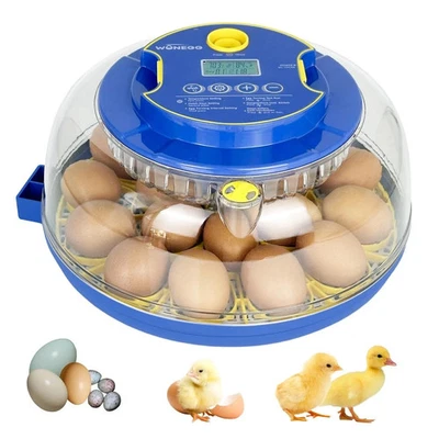ENDLESSAISLESSTORE Incubators for Hatching Eggs,18 Egg Incubator with Automatic Egg Turning and ...