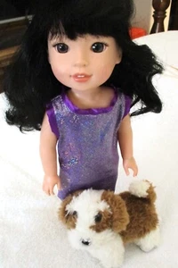 American Girl Welliwishers 14.5" EMERSON Doll/Dress & 5" AG Plush Puppy, EUC - Picture 1 of 15