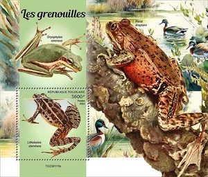 Ranas y Anfibios Animales MNH 1v-Sello Hoja #65 (2023 Togo) - Imagen 1 de 1