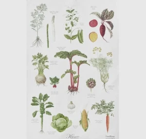Koustrup & Co Vegetables Garden Print Organic Cotton Tea Towel - Picture 1 of 6