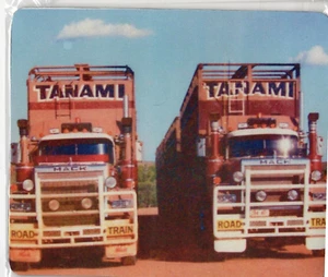 TANAMI MACK SUPERLINER MOUSE PAD - Picture 1 of 1