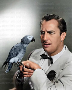 Vincent Price 8x10 seltenes Farbfoto 601 - Bild 1 von 1