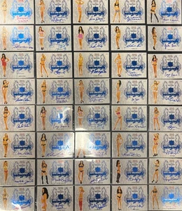 2022 Benchwarmer Soccer Auto MARKETA JANSKA 2/2 Sin City AUTOGRAPH - Picture 1 of 1