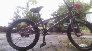 Eastern Bikes Eastern BMX Bikes - Cobra Model 20 Inch Bike. Lightweight Freestyl - Picture 1 of 3