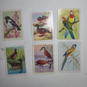 Australiana bird studies cards 6 off - nos - 88,91,92,116,118,201 - lot 529 - Picture 1 of 2