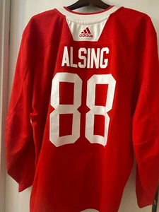 Ottawa Senators Red Adidas NHL Pro Stock Olle Alsing Training Camp Used Jersey - Bild 1 von 10