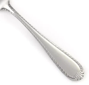 NEW Reed & Barton DOMAIN Stainless 18/10 NOS Glossy Rope Edge Silverware CHOICE - Picture 1 of 21