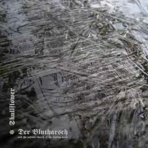 DER BLUTHARSCH & THE INFINITE CHURCH OF THE LEADING HAND COLLABORATION NEW CD - Picture 1 of 1