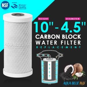 10" x 4.5" CARBON FILTER FOR BIG BLUE - Picture 1 of 5