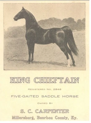 Postal de caballo "King Chieftain" de cinco esperas en silla de montar 4X6. Foto 1 de 2